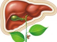 Как понять, что печени нужна помощь?