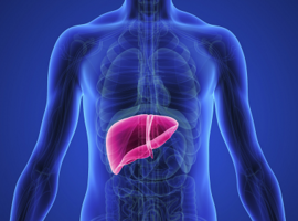 Заболевания печени – удел людей с ожирением и алкоголиков?