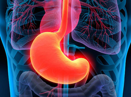 5 советов, как наладить опорожнение желудка